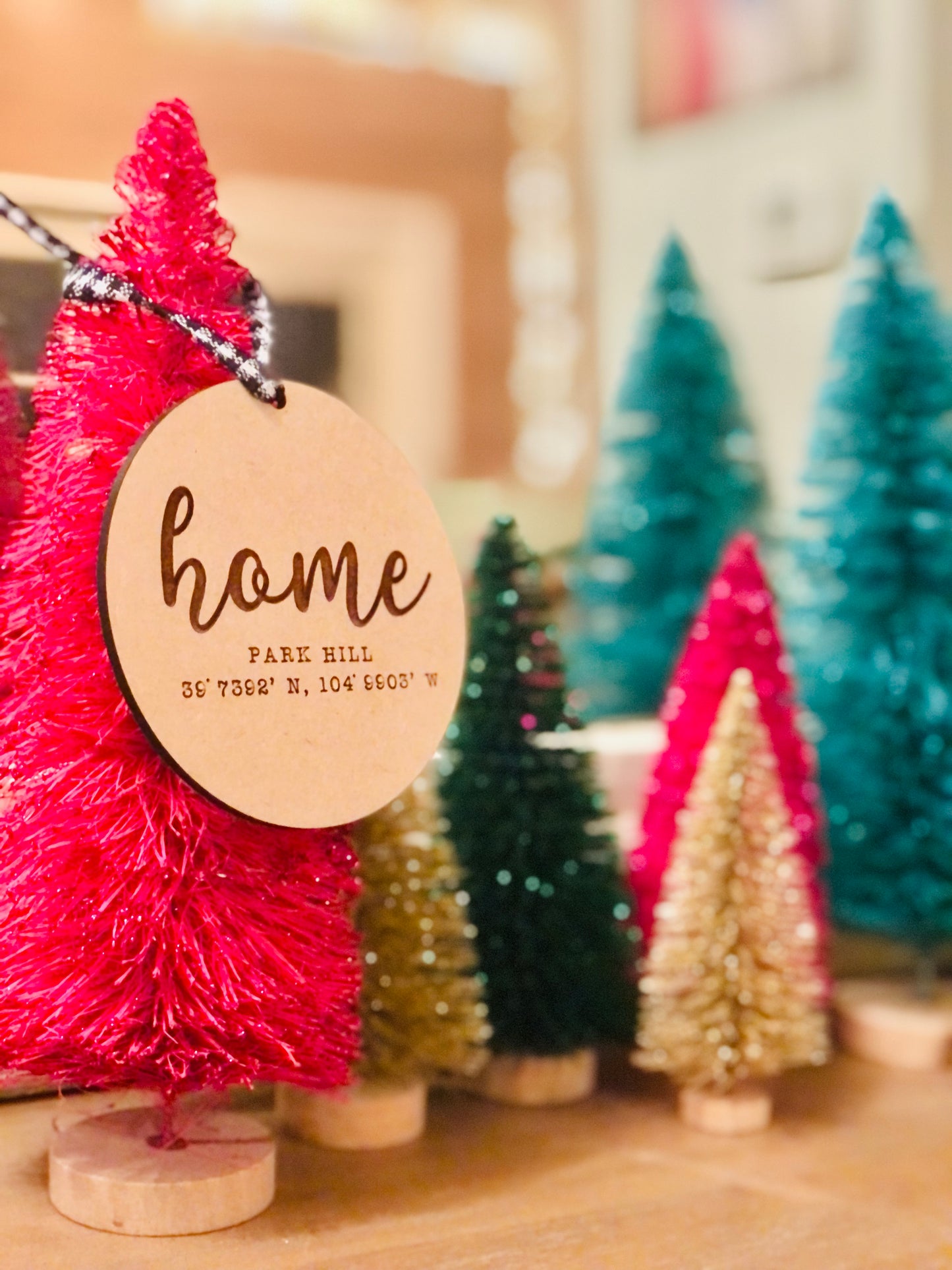 Home Lat & Long Ornament